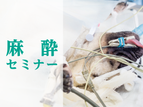 セミナー画像