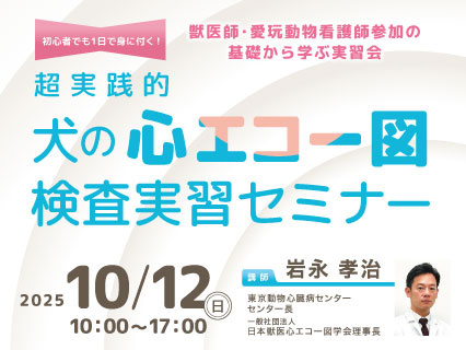初心者でも1日で身に付く！超実践的 犬の心エコー図検査実習セミナー
