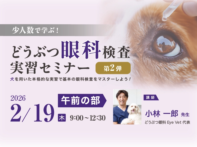 ＜午前の部＞少人数で学ぶ！どうぶつ眼科検査実習