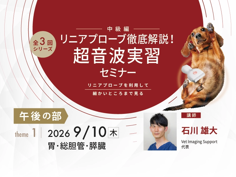 【第1回】胃・総胆管・膵臓