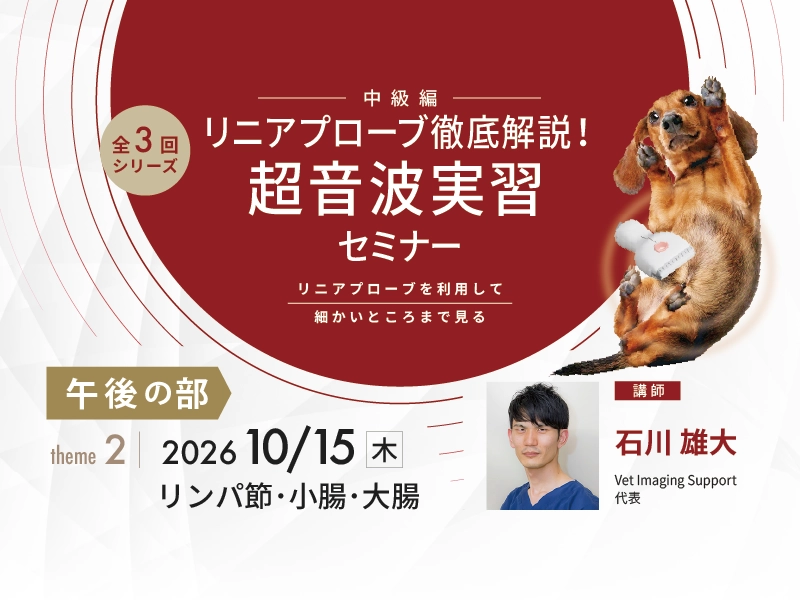 【第2回】リンパ節・小腸・大腸