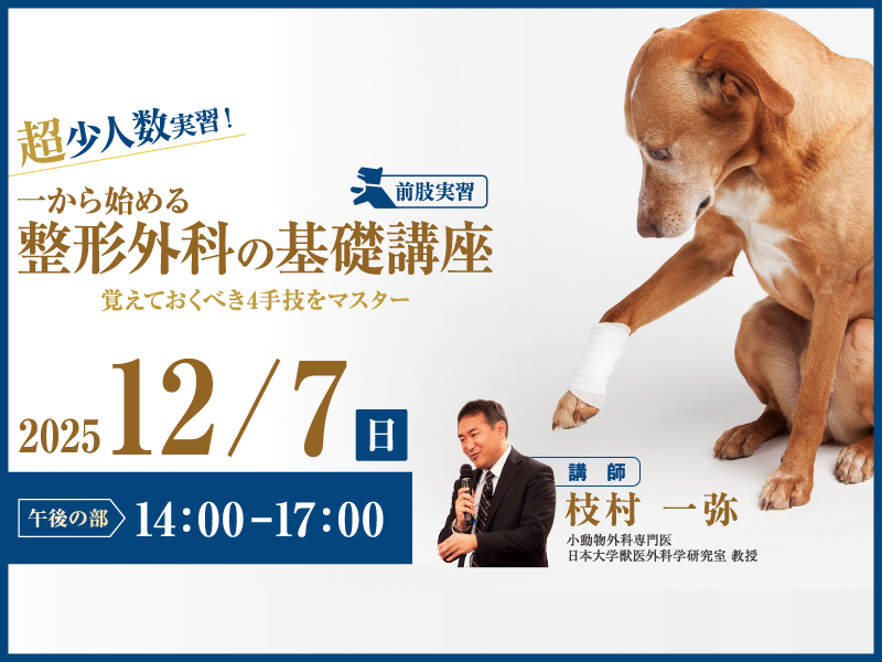 午後の部｜一から始める整形外科の基礎講座＜前肢実習＞