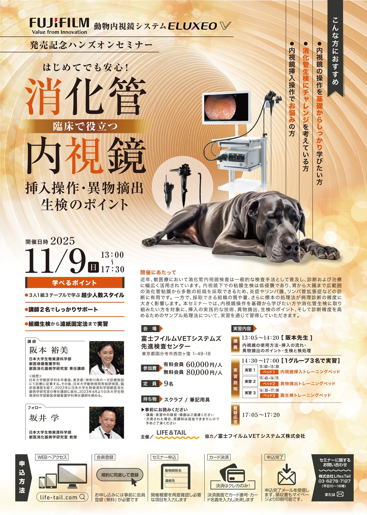 【美品】小動物の内視鏡学 LLLセミナー 小動物の内視鏡学 LLLセミナー 【公式通販】